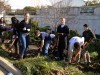 Volunteering at the Shedd