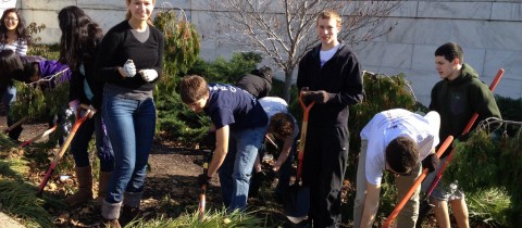 Volunteering at the Shedd